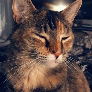 Meet your Posher, Marci